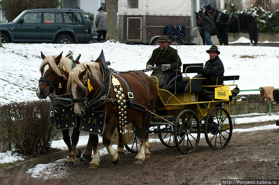 Конный рынок в Леонберге Леонберг, Германия