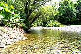 Речка  Излучная.  Собирает  воду  со  всех  ручейков  и   в  г. Долинске  представляет  из  себя  вполне  приличную  речку.