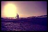 Iceland geyser Strokkur.