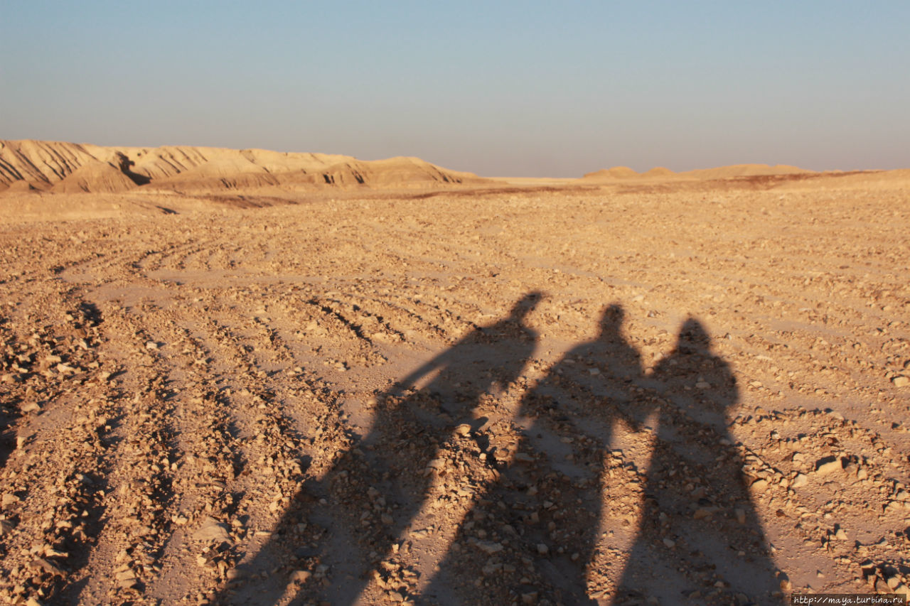 автопортрет :) Негев Пустыня, Израиль