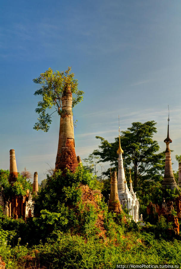 Лес ступ Озеро Инле, Мьянма