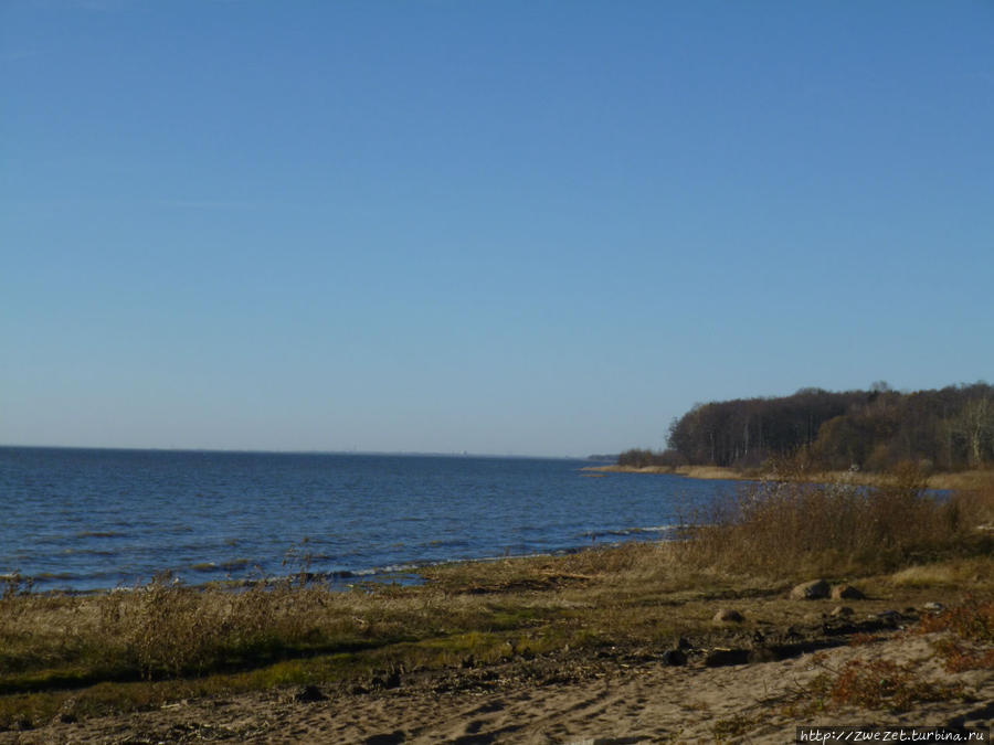 Я этим городом храним. Приморская окраина Санкт-Петербург, Россия