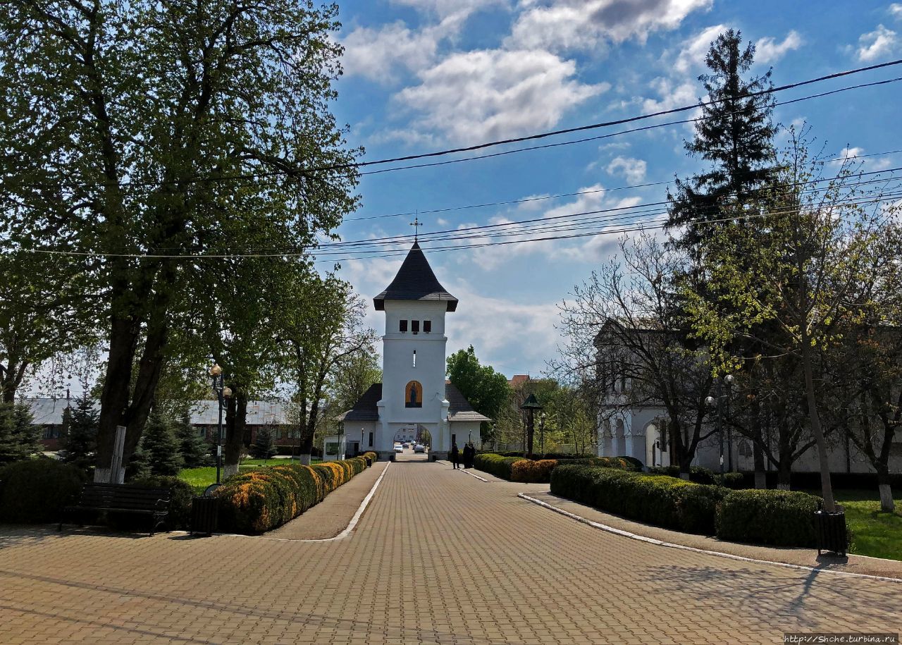 Епархия Хусилор Хуши, Румыния