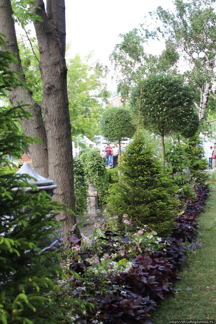 Moscow Flower Show 2017. Фотоотчёт и впечатления. Москва, Россия