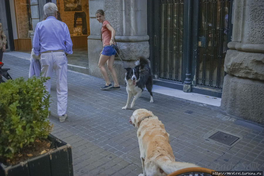 Стрит из кафе Барселона, Испания