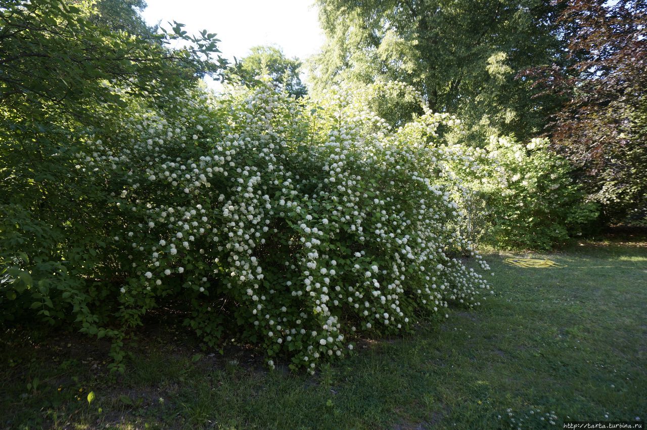 Дворец Глинике Берлин, Германия