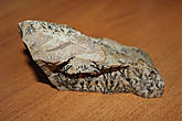 Синайский камень НЕОПАЛИМАЯ КУПИНА можно приобрести за 1$ у местных жителей.