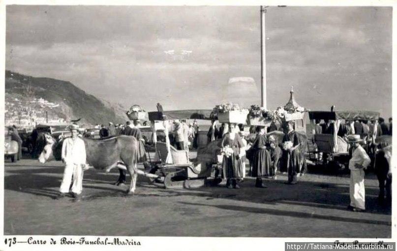 Старая Мадейра Регион Мадейра, Португалия