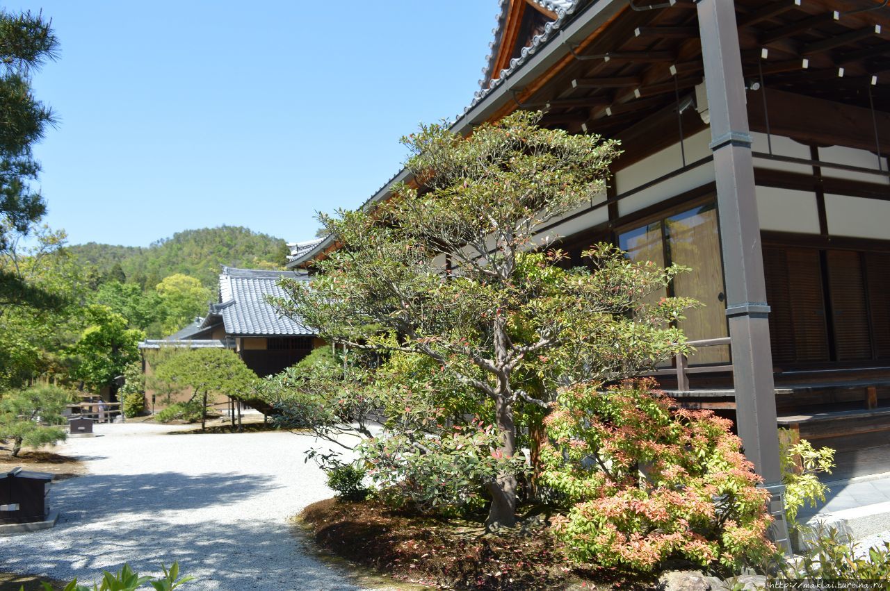 Кинкаку-дзи (Рокуон-дзи, Золотой павильон) Киото, Япония