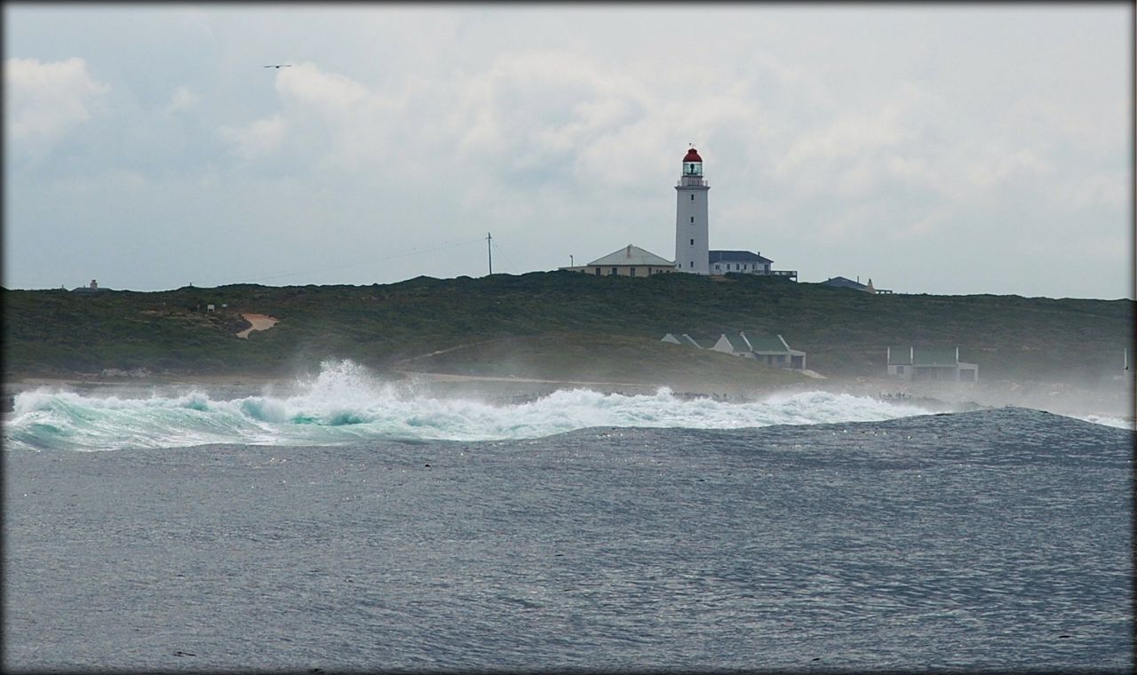 Корабельные ангелы