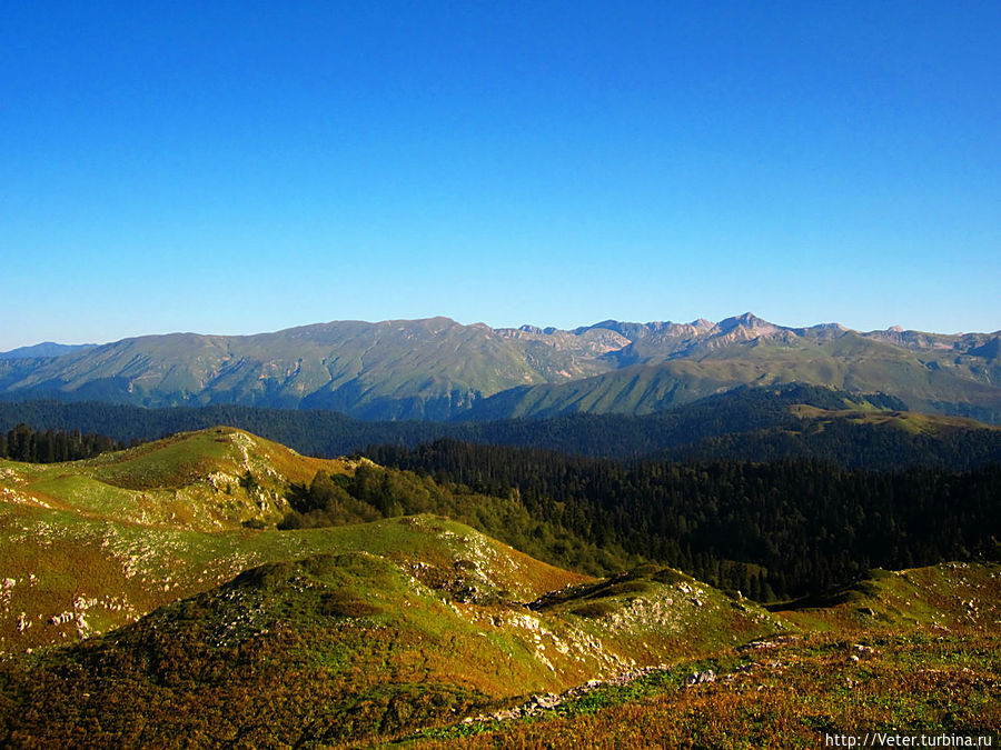 Альпийские луга Рица Реликтовый Национальный Парк, Абхазия
