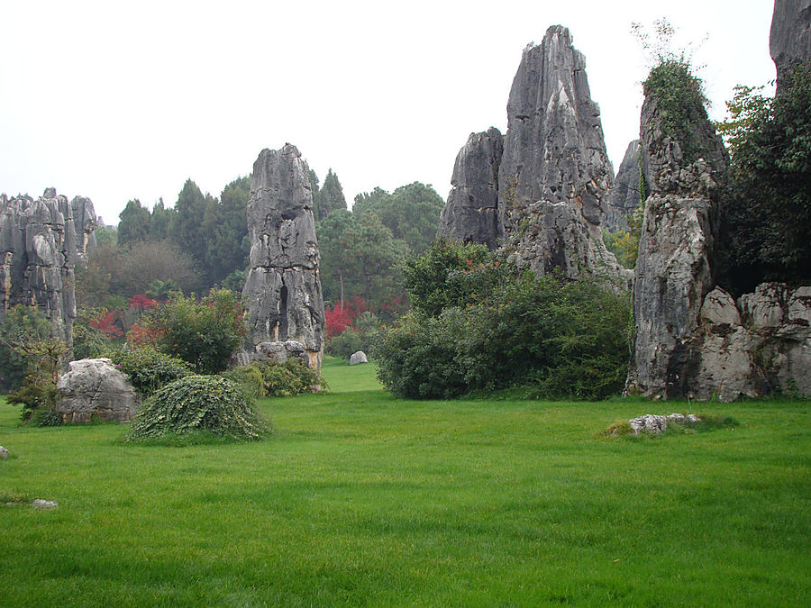 Осень в Каменном лесу Куньмин, Китай