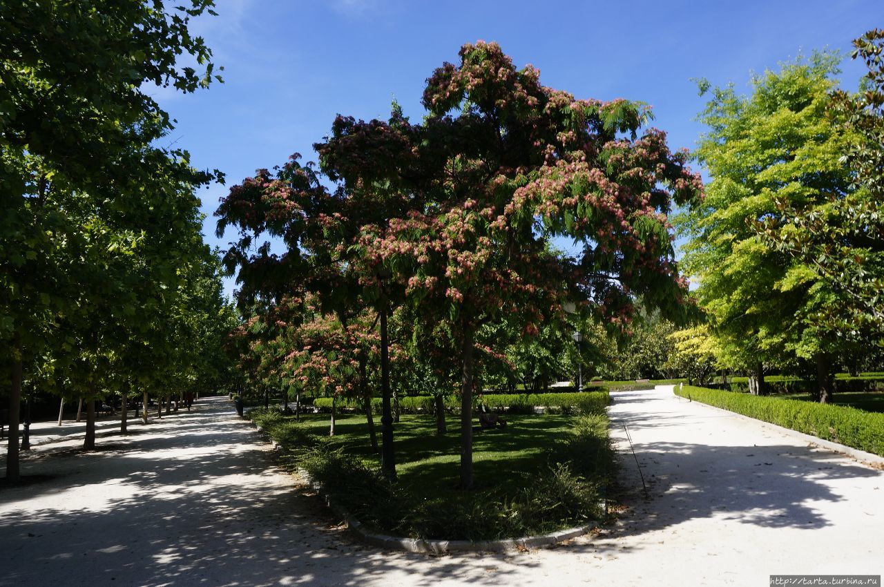 «Парк для приятного отдыха» Мадрид, Испания