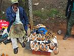 Сапожник. Продает традиционные тапочки, украшенные мехом антилопы импалы.