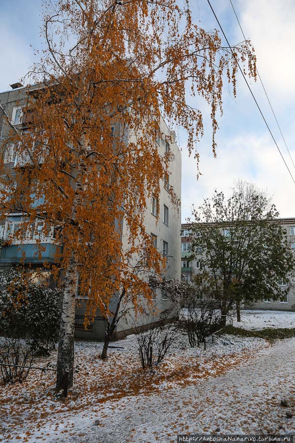 Городец-Холодец Городец, Россия