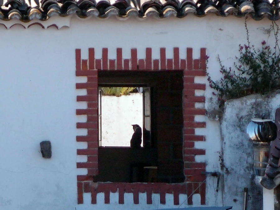 Обидуш (ч.1) Касаясь крыш твоих ладонью Обидуш, Португалия