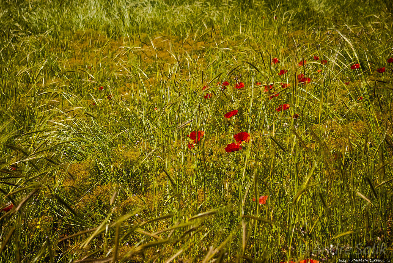 Окрестности Керманшаха Керманшах, Иран