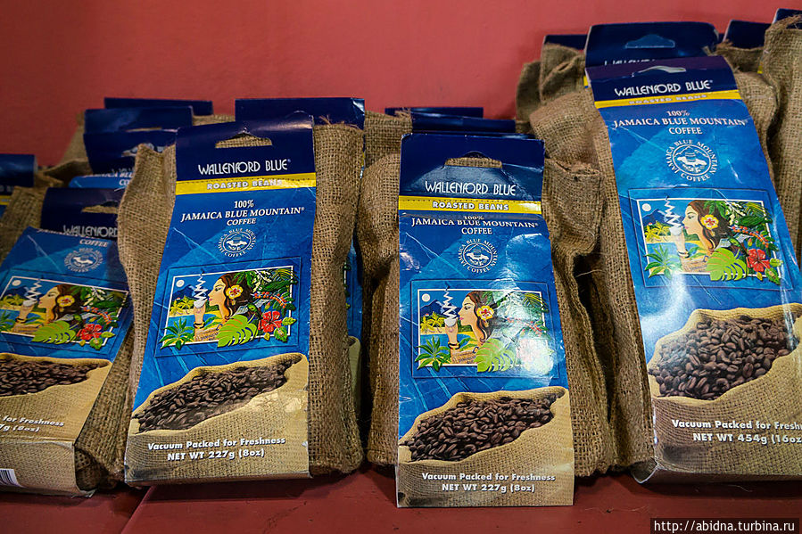 Кофе Blue Mountain, производится на Ямайке. Кофейные зерна для этого сорта произрастают на знаменитой Голубой горе, где специальный уход и условия позволяют получать кофейные зерна без горечи Ямайка