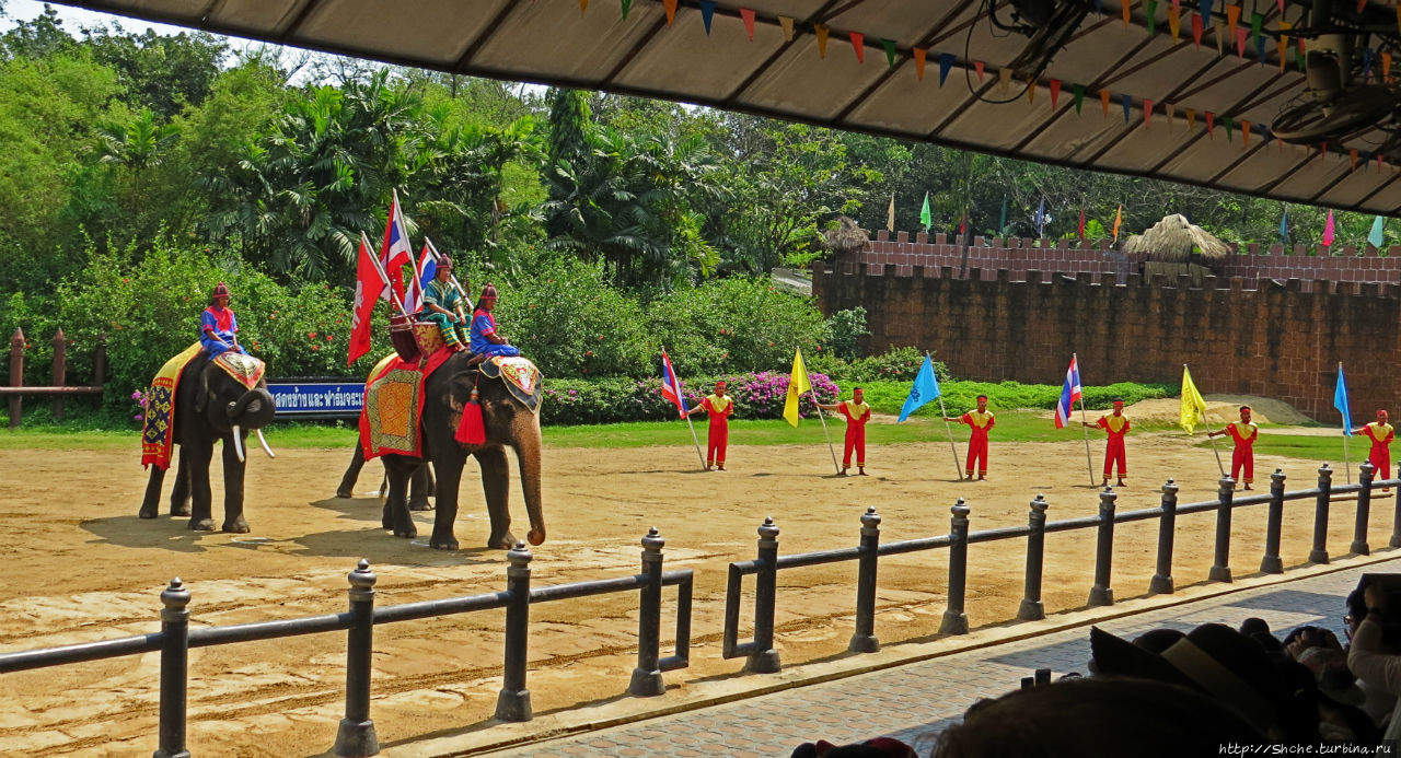 Elephant Show (Samphran Elephant Ground & Zoo) Сам-Пран, Таиланд