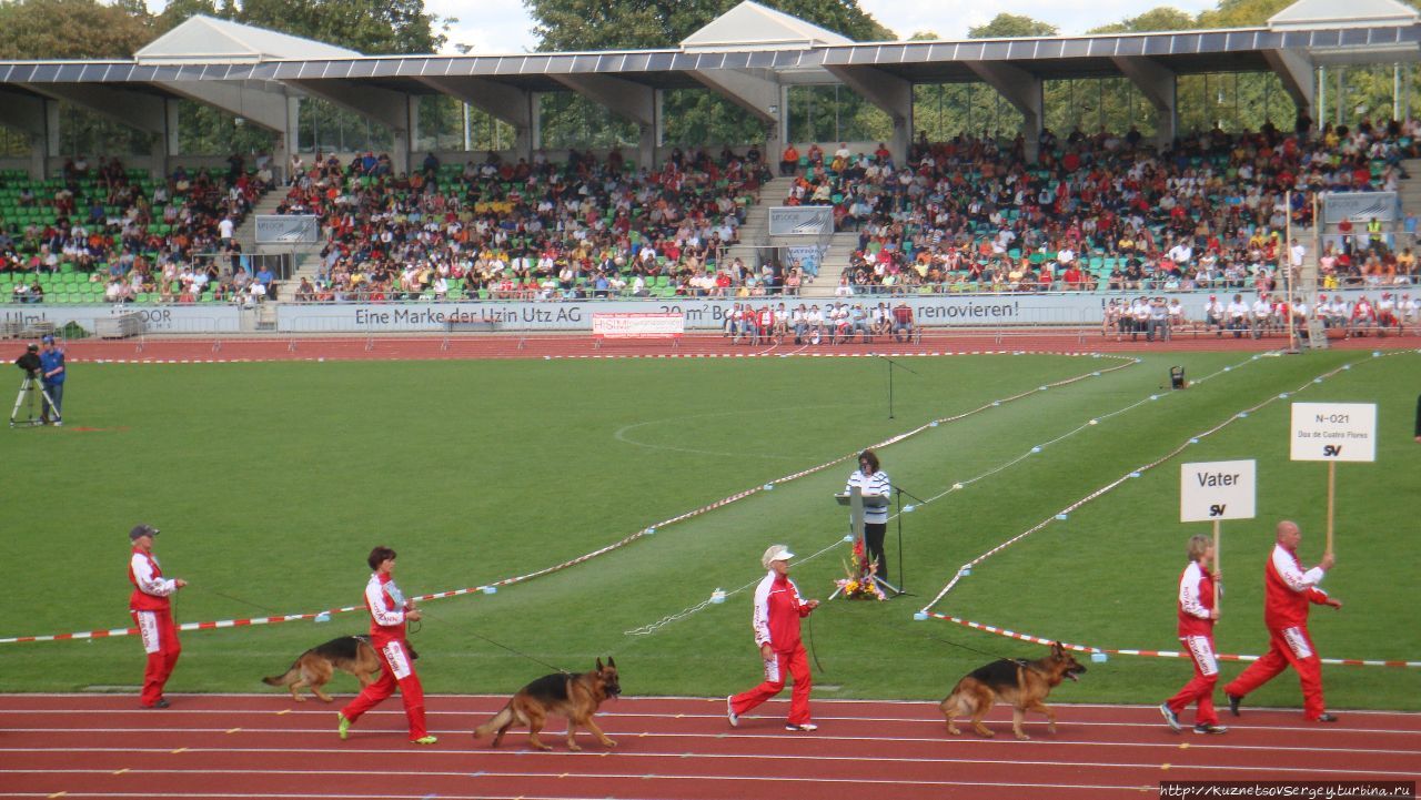 Зигер в Ульме Ульм, Германия Зигер в Ульме Ульм, Германия