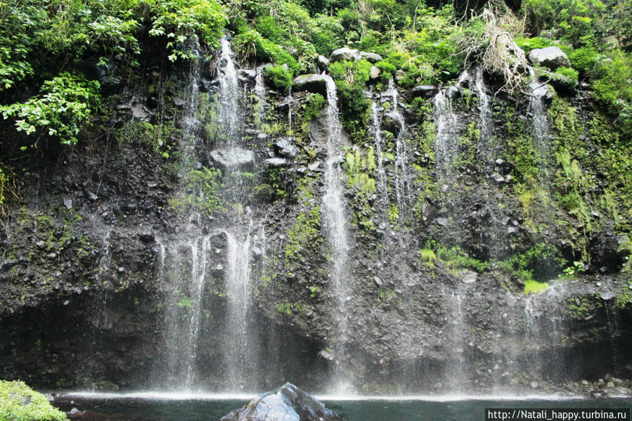 Логово без чудовищ Реюньон