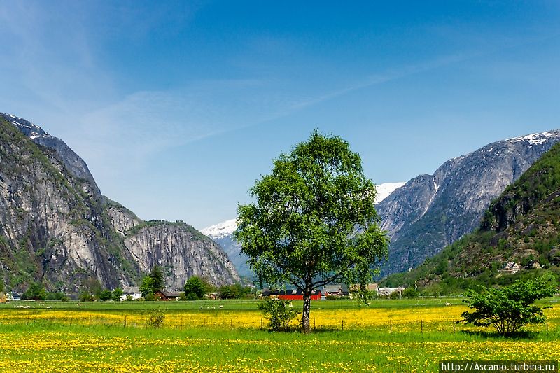 Хардангерфьорд