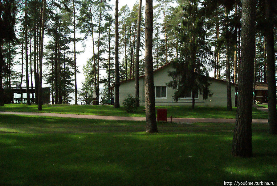 Поймайте мне кролика Нижегородская область, Россия