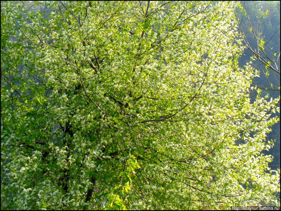 И   в  этом  есть  очарование... Южно-Сахалинск, Россия