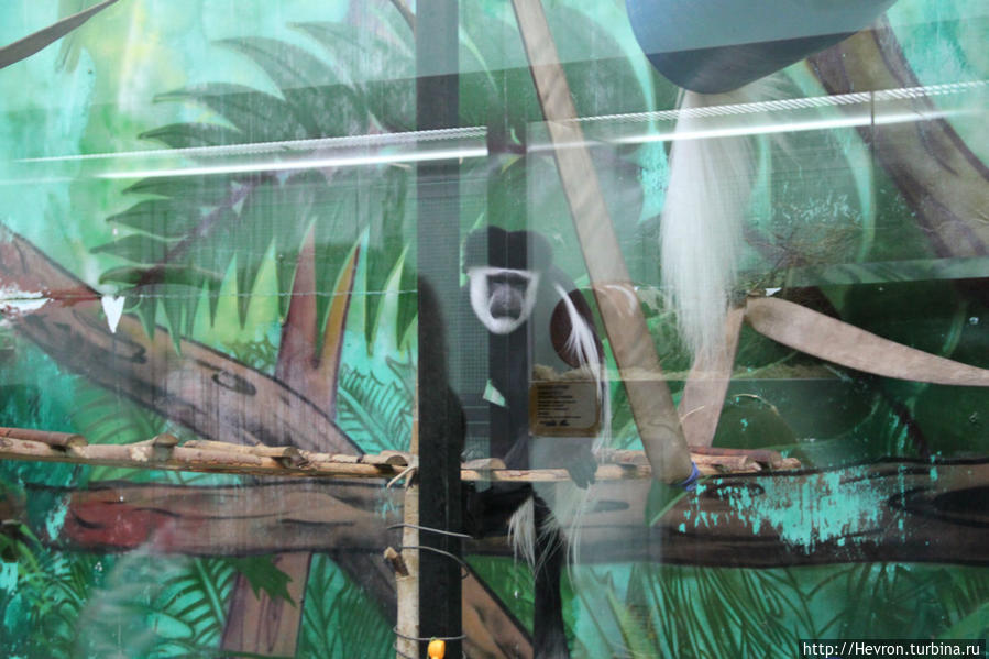 Звериная весна Пермь, Россия