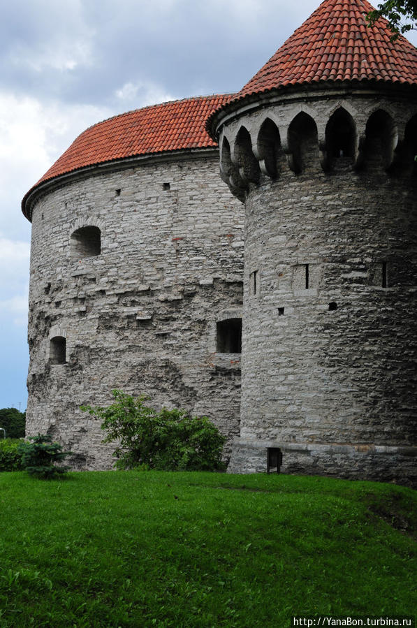 Башня Толстая Маргарита Таллин, Эстония