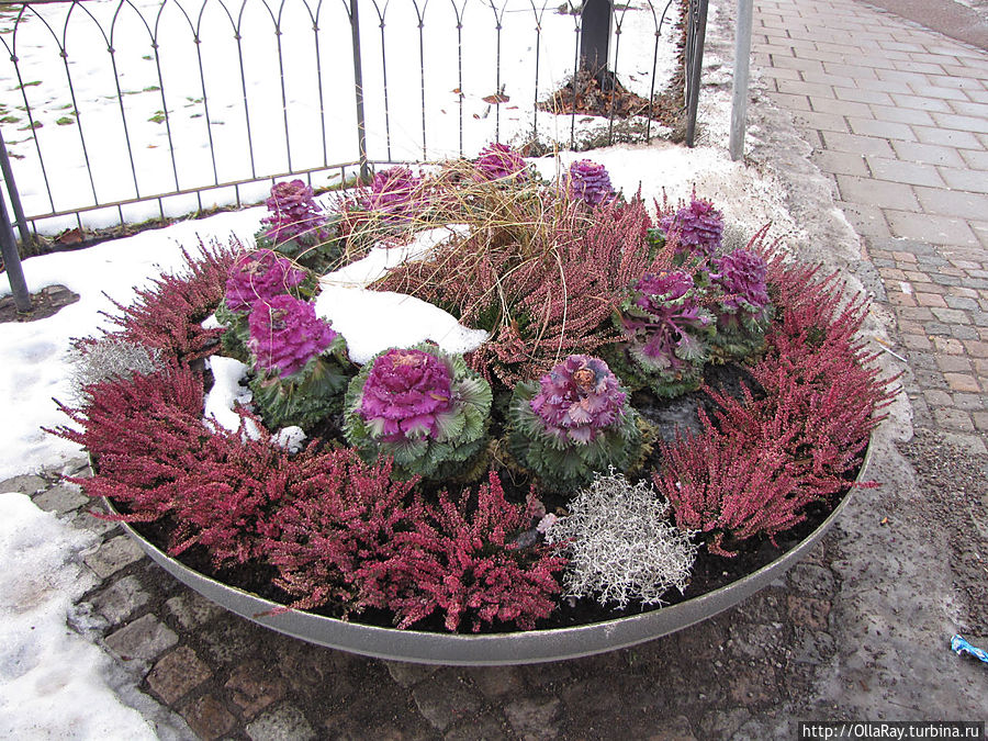 Городской парк Trädgårdsföreningen