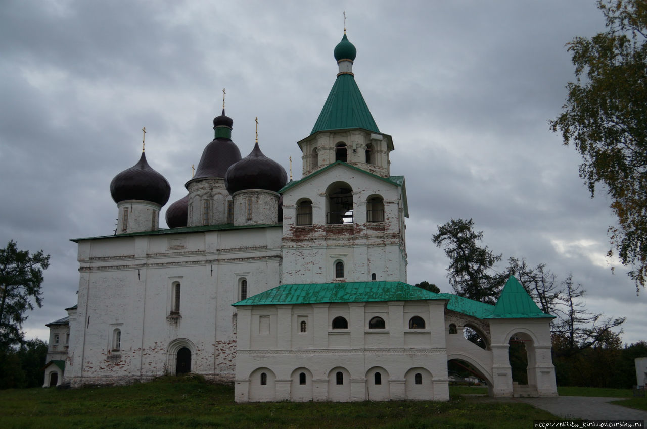 Иосиф Александрович, дал слово – сдержи его Коноша, Россия