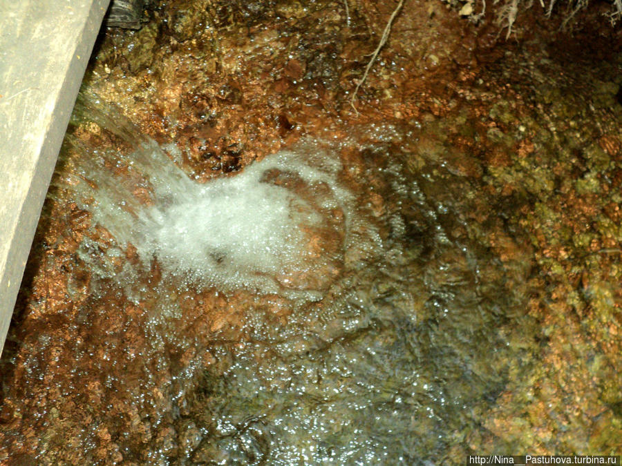 Последний день весны Оренбургская область, Россия