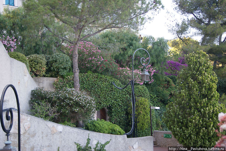 Сады покорившие навсегда.  Сады Святого Мартина Монако-Вилль, Монако