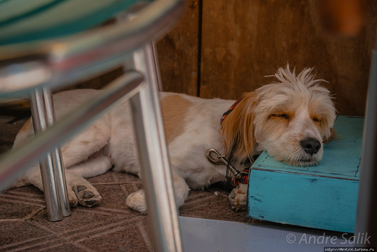 Тарифа, центр города Тарифа, Испания