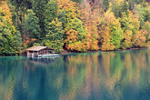 Фотография сделана в 2012 году, в Германии, юго-западная Бавария, озеро Альпзее, начало ноября, погода пасмурная, возможны осадки :-)
Фотоаппарат Canon EOS 60D, объектив Canon EF-S 18-200mm f/3.5-5.6 IS