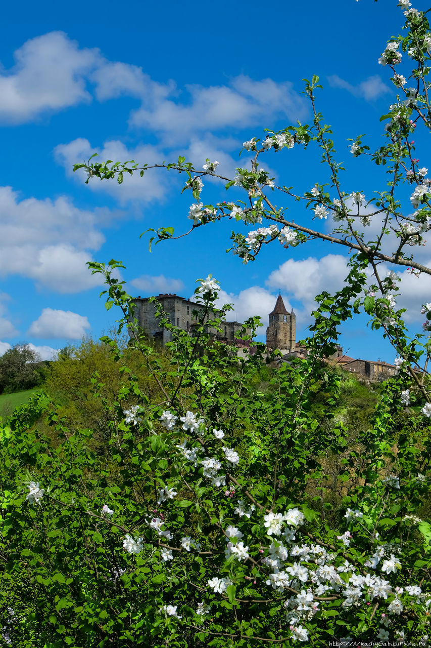 Гасконь без замков так же нелепа, как весна без цветов Байонна, Франция