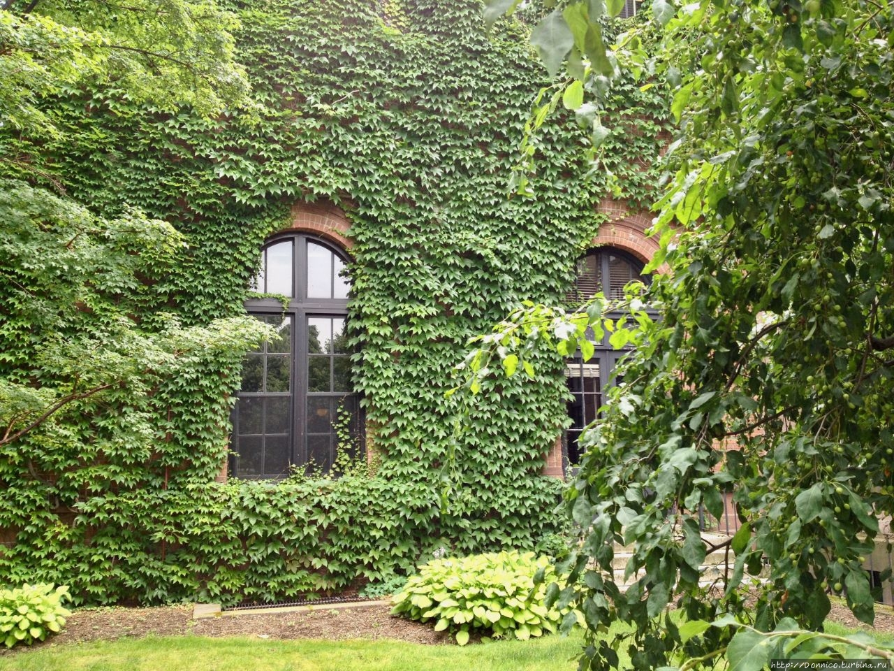 Колледж Смит Нортхэмптон, CША Колледж Смит Нортхэмптон, CША