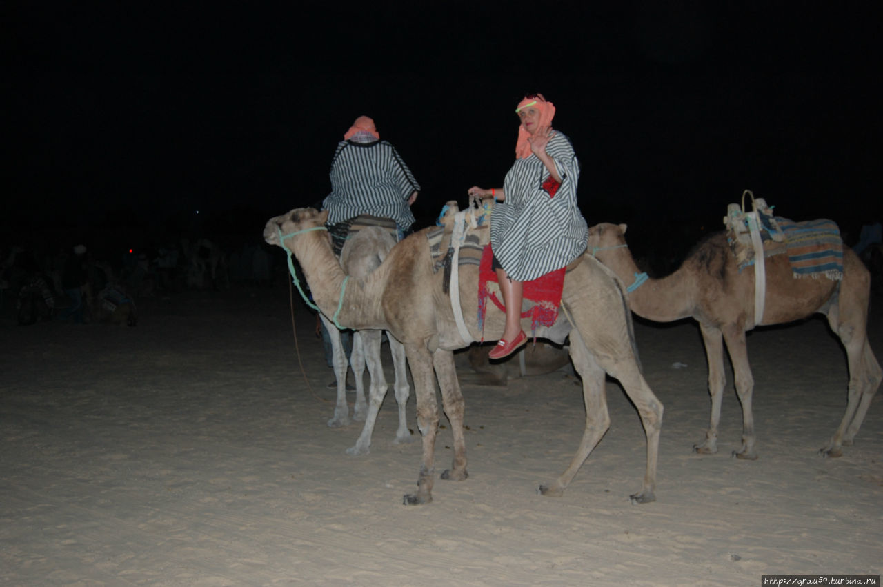 Как мы с верблюдом по Сахаре рассекали Дуз, Тунис