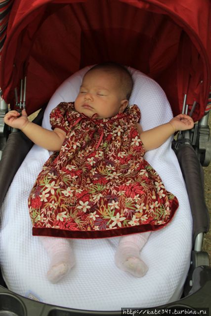 День Рождения в ботаническом саду Букараманга, Колумбия