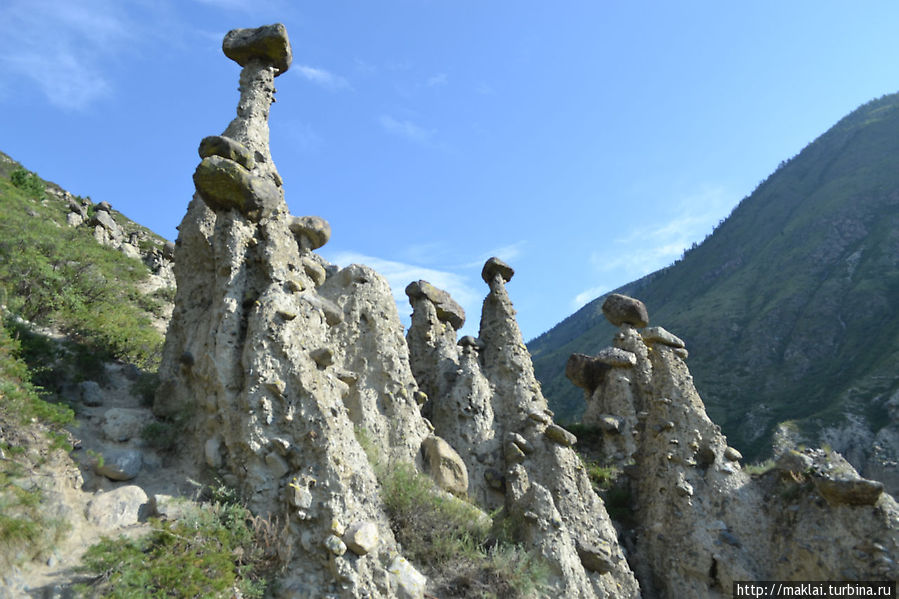 По грибы — в урочище Ак-Корум Республика Алтай, Россия