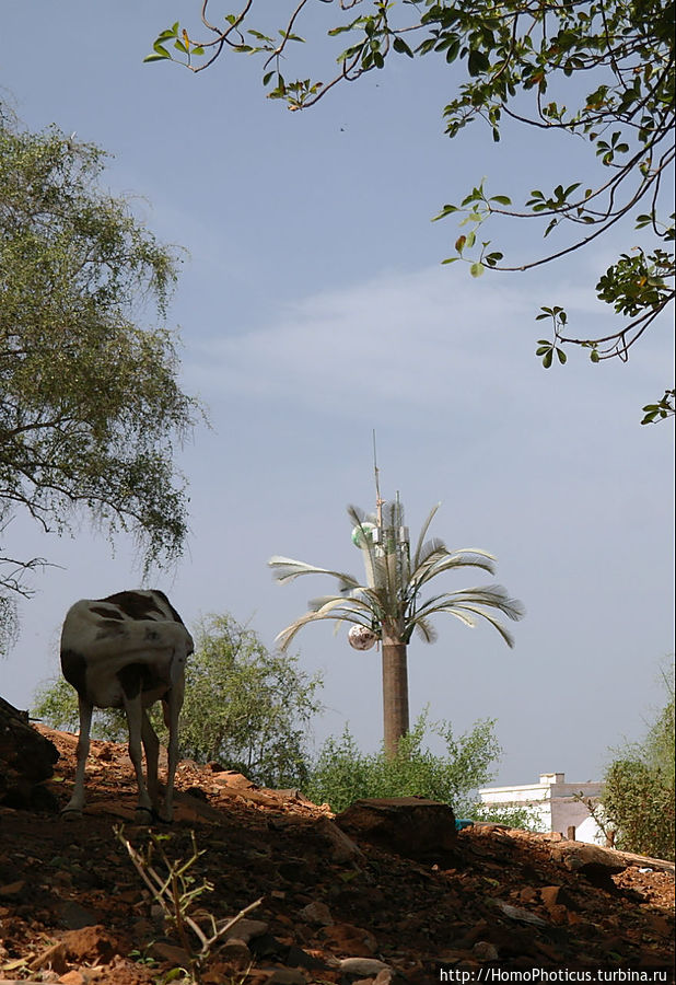 Сортировочная Дакар, Сенегал