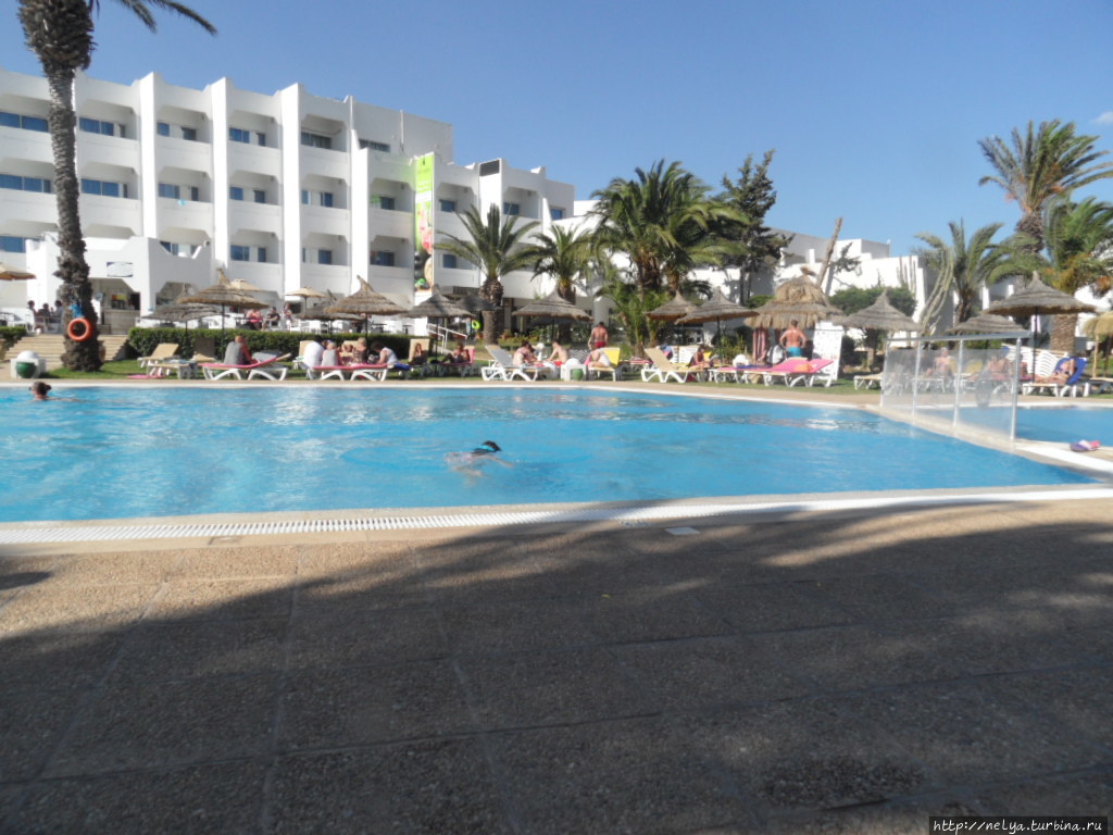 Отель Палм Бич Клуб Хаммамет / Palm Beach Club Hammamet