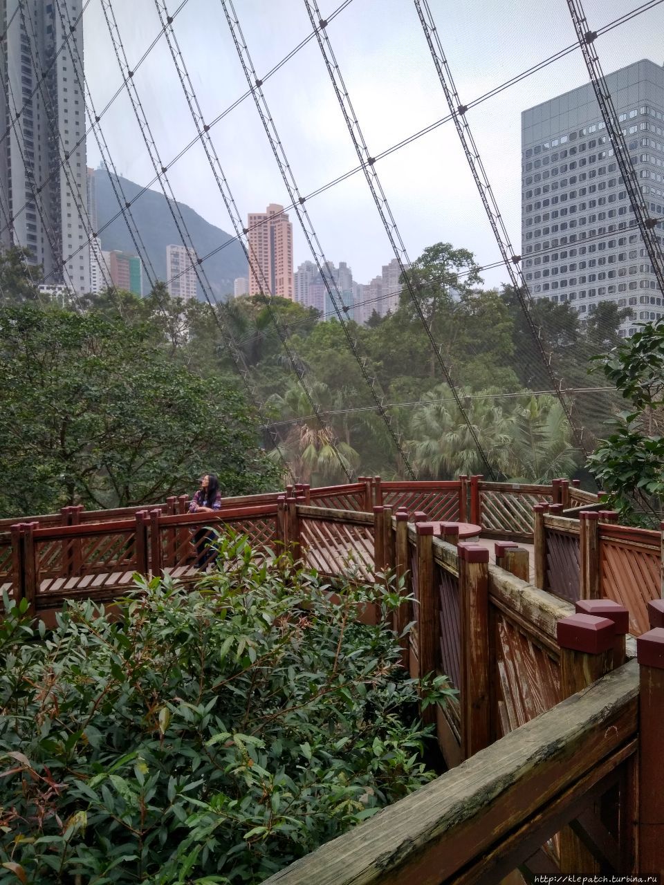 Бесплатный сад птиц Шек-О, Гонконг