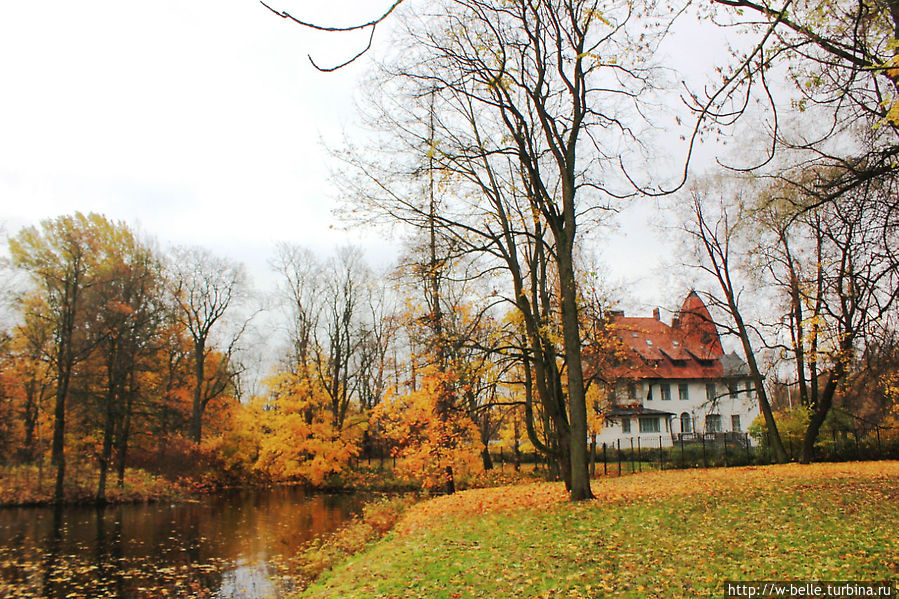 Дом Фолленвейдера. Санкт-Петербург, Россия