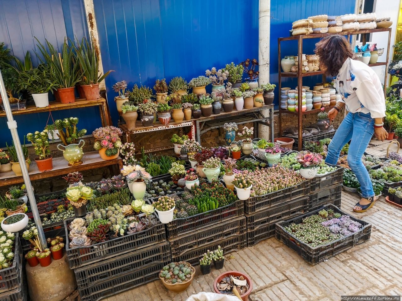 Рынки в Китае, с которых распространяются коронавирусы. Куньмин, Китай