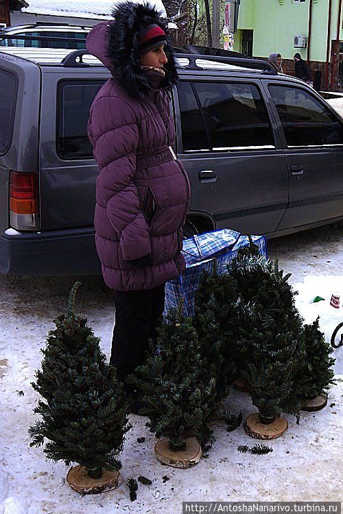 Косов Косов, Украина