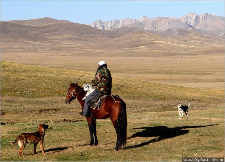Легко ли жить с чабаном Озеро Сон-Куль, Киргизия