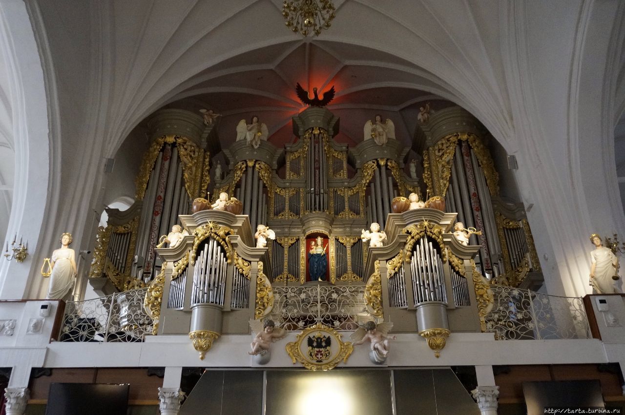 Калининград кафедральный собор орган