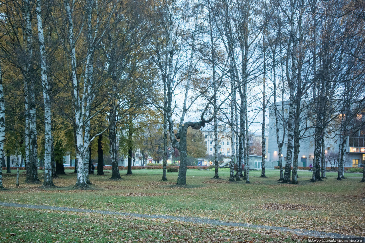 Охта большая Санкт-Петербург, Россия